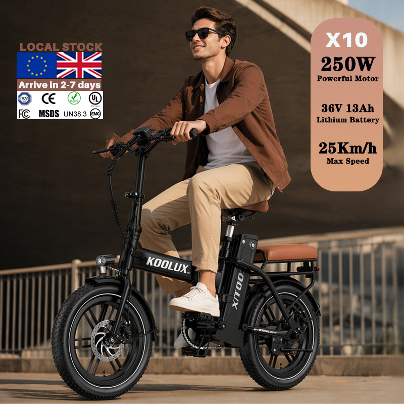 Europe Poland X10 Electric Fol - đánh giá và giá Mountain Biking Europe